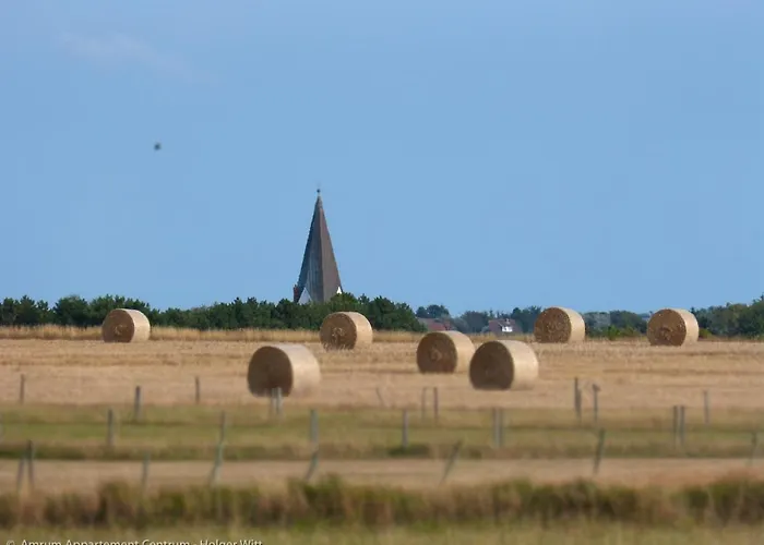 *fenja* Apartamento *